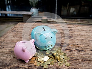 Blue and pink two piggy bank with gold coins pile, Saving money for future investment plan and retirement fund concept