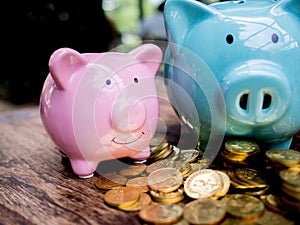 Blue and pink two piggy bank with gold coins pile, Saving money for future investment plan and retirement fund concept