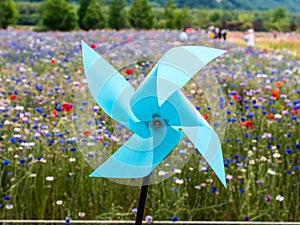 Blue Pinwheel