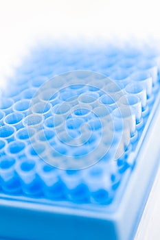 Blue pipette tips in container,