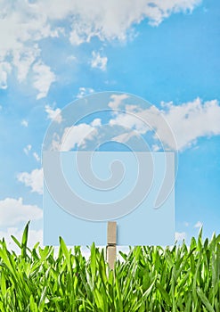 Blue placard in grass