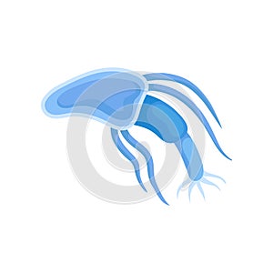 Blue plankton with a long body. Vector illustration on white background.