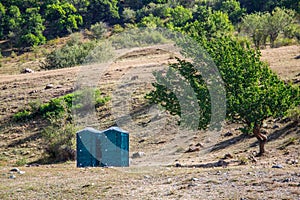 Blue plastic cabins of dry closets in a natural park