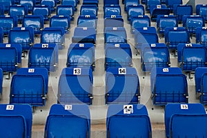Blue plastic chairs on the stands of the sports hall photo