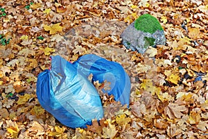 Blue plastic garbage bags left in the autumn golden maple forest