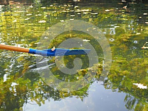 Blue plastic paddle is lowered into the clear water of an autumn pond where seaweed is visible