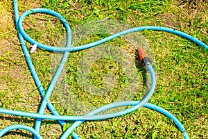 Blue plastic sprayer for gardening