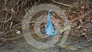 A blue plastic trash bag tangled in the branches of a tree on the river bank.