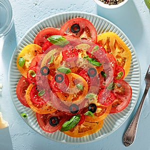 Blue plate with homemade vegetarian tomato carpaccio on blue background.