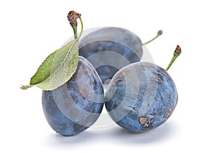 Blue plum with leaf