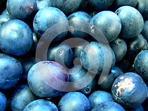 Blue plums