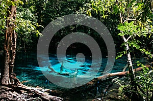 Blue pond in Krabi, Thailand or Tha Pom Klong Song Nam near Sra Morakot in tropical forest