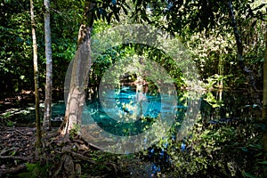 Blue Pond National Park Krabi