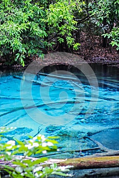 Blue pool Krabi province one the amazing in south of Thailand destination.