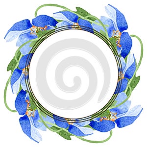 Blue poppy floral botanical flowers. Watercolor background illustration set. Frame border ornament square.