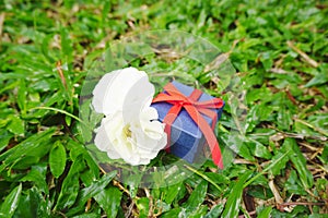 Blue present box with red ribbon