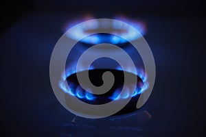 Blue propane gas flame. Burning gas. Kitchen stove burner. Natural gas market concept image with copyspace