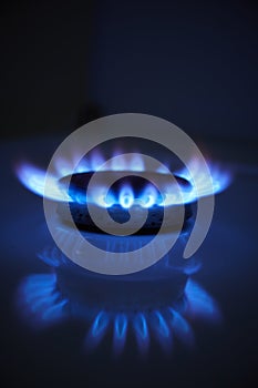 Blue propane gas flame. Burning gas. Kitchen stove burner. Natural gas market concept image with copyspace