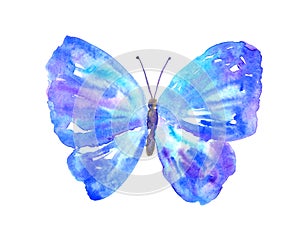 Blue purple butterfly. Hand drawn watercolor illustration. Isolated on white background