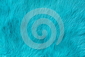 Blue rabbit fur Texture, animal skin background