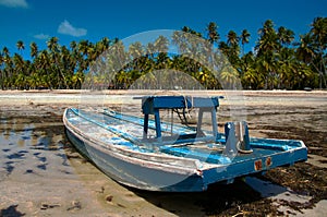 Blue Raft