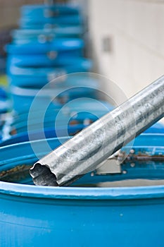 Blue rain barrels in a row flowing into each other