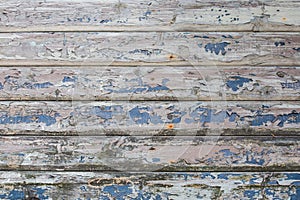 Blue Real Wood Texture Background. Vintage and Old