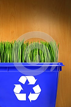 Blue recycle bin with grass inside