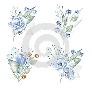 Blue and red flowers hand drawn aquarelle illustrations set