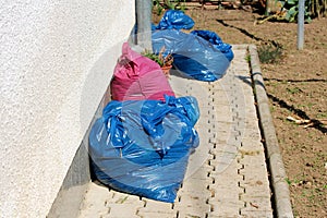 Blue and red large plastic bags filled with branches and weed from local urban garden left next to house wall