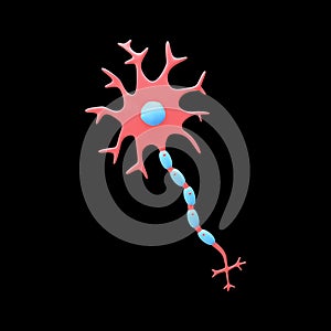 Blue And Red Neurons 3D Element Against Black photo