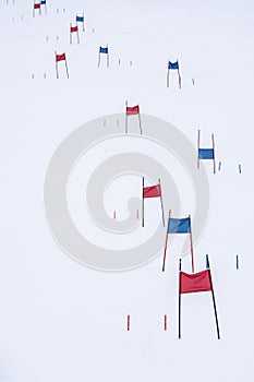 Blue and red ski gates for slalom