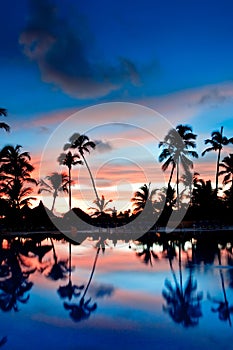 Blue and red sunset over sea beach with palms