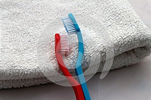 Blue and red toothbrushes in hug laying on white towel, romantic valentines day concept or couple in love in welness hotel