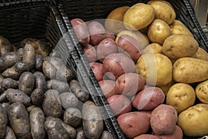 Blue, Red and Yukon Gold Potatoes