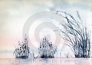 Blue Reeds