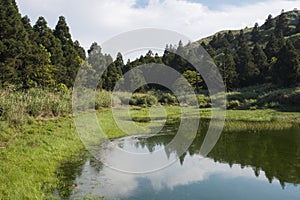 Blue reflection in river at summer forest