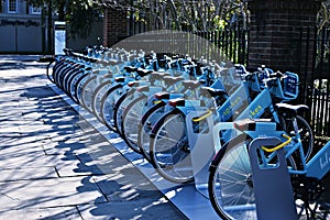 Blue rental bikes