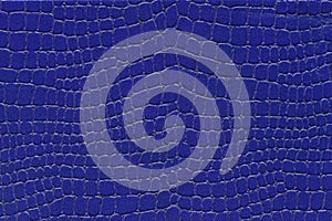 Blue reptile skin. crocodile leather texture background