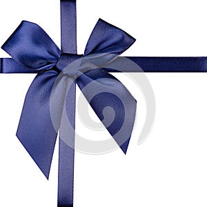 Blue ribbon bow gift