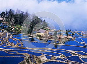 Blue rice terraces of yuanyang photo