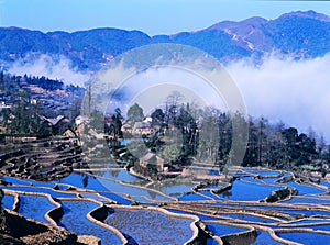 Blue rice terraces of yuanyang