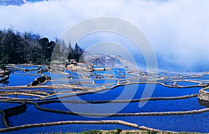 Blue rice terraces of yuanyang