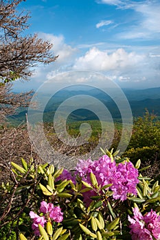 Blue Ridge Mountains