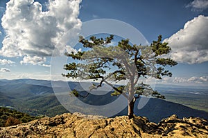 Blue Ridge Mountains from Ravens Roost Overlook photo