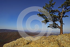 Blue Ridge Mountains Vista From Ravens Roost photo