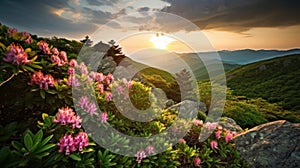 Blue Ridge Parkway Mountains Sunset over Spring Rhododendron Flowers