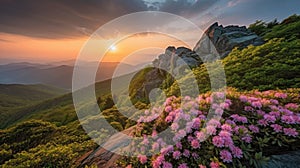 Blue Ridge Parkway Mountains Sunset over Spring Rhododendron Flowers