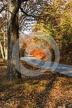 Blue Ridge Parkway Roadway in Northern Virginia, USA