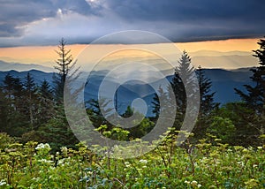 Blue Ridge Parkway Scenic Landscape